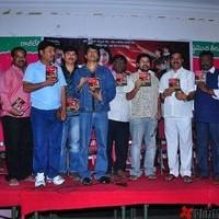 Telangana Godavari Movie Audio function - Pictures | Picture 95277